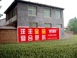 常州如何让墙体广告展现最大化效果
