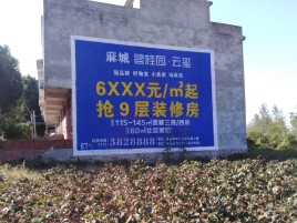 常州品牌公司青睐的墙体广告